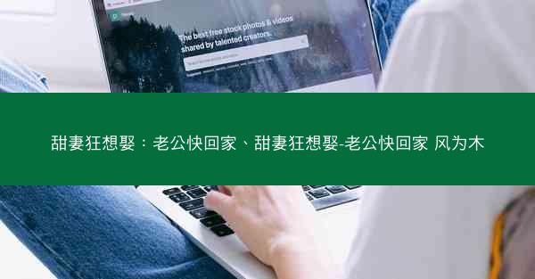 甜妻狂想娶：老公快回家、甜妻狂想娶-老公快回家 风为木