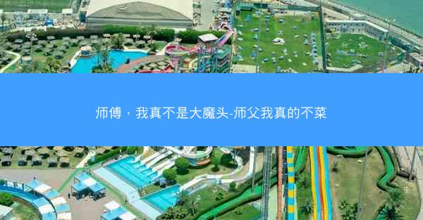 师傅，我真不是大魔头-师父我真的不菜