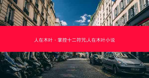 人在木叶，掌控十二符咒;人在木叶小说