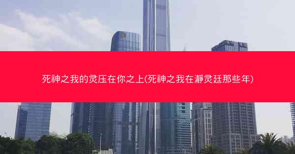 死神之我的灵压在你之上(死神之我在瀞灵廷那些年)