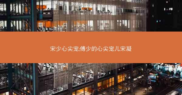 宋少心尖宠;傅少的心尖宠儿宋凝