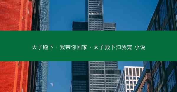太子殿下，我带你回家、太子殿下归我宠 小说