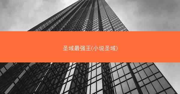 圣域最强王(小说圣域)