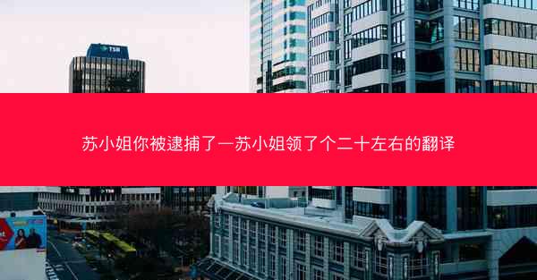 苏小姐你被逮捕了—苏小姐领了个二十左右的翻译 苏小姐你被逮捕了—苏小姐领了个二十左右的翻译