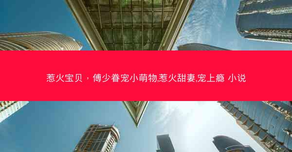 惹火宝贝，傅少眷宠小萌物,惹火甜妻,宠上瘾 小说