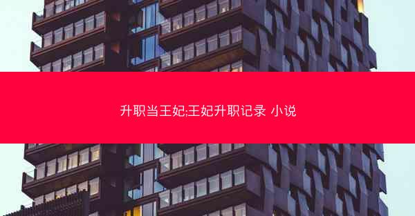升职当王妃;王妃升职记录 小说