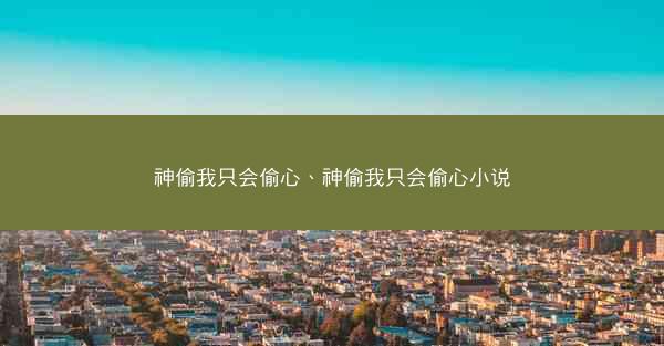 神偷我只会偷心、神偷我只会偷心小说