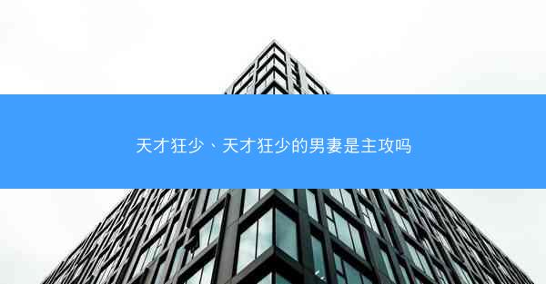 天才狂少、天才狂少的男妻是主攻吗