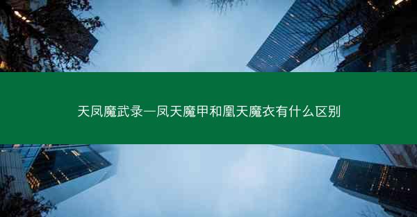 天凤魔武录—凤天魔甲和凰天魔衣有什么区别