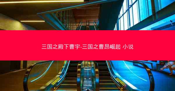 三国之殿下曹宇-三国之曹昂崛起 小说