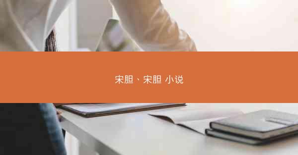 宋胆、宋胆 小说