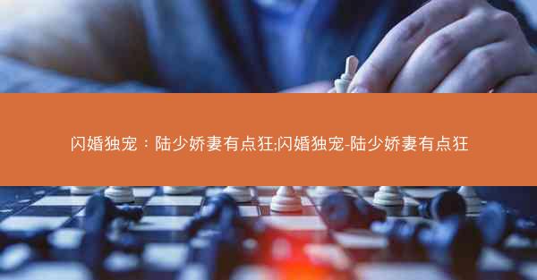 闪婚独宠：陆少娇妻有点狂;闪婚独宠-陆少娇妻有点狂