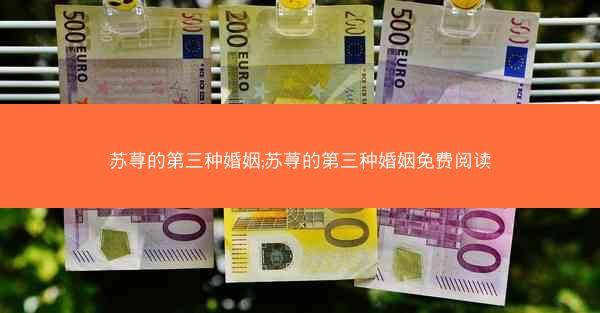 苏荨的第三种婚姻;苏荨的第三种婚姻免费阅读