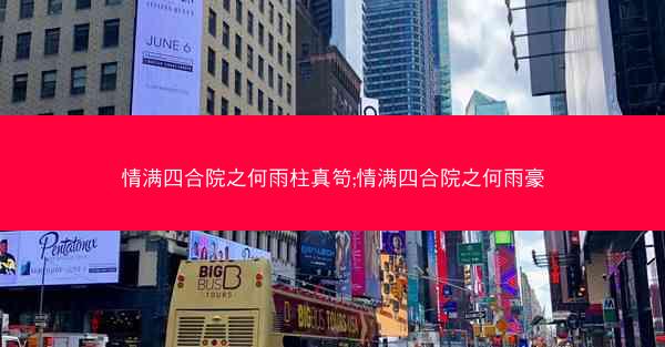 情满四合院之何雨柱真笱;情满四合院之何雨豪