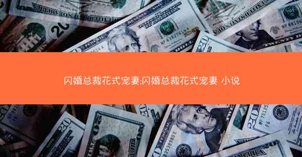 闪婚总裁花式宠妻;闪婚总裁花式宠妻 小说