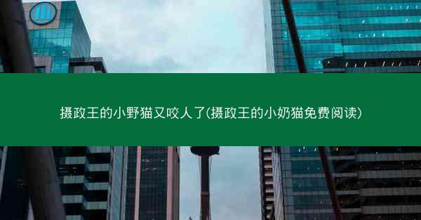 摄政王的小野猫又咬人了(摄政王的小奶猫免费阅读)