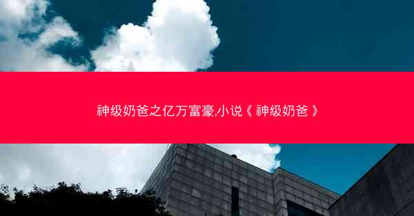 神级奶爸之亿万富豪,小说《神级奶爸》