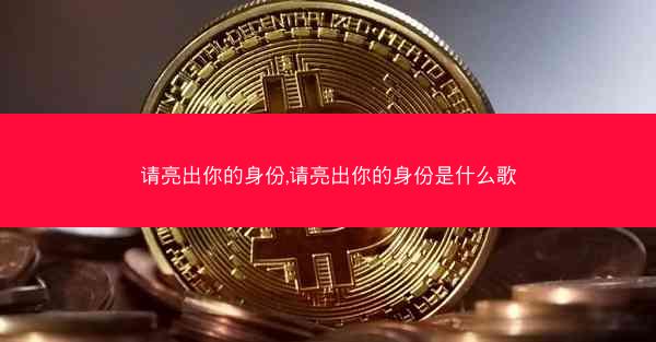 请亮出你的身份,请亮出你的身份是什么歌