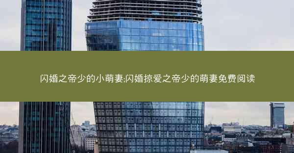 闪婚之帝少的小萌妻;闪婚掠爱之帝少的萌妻免费阅读