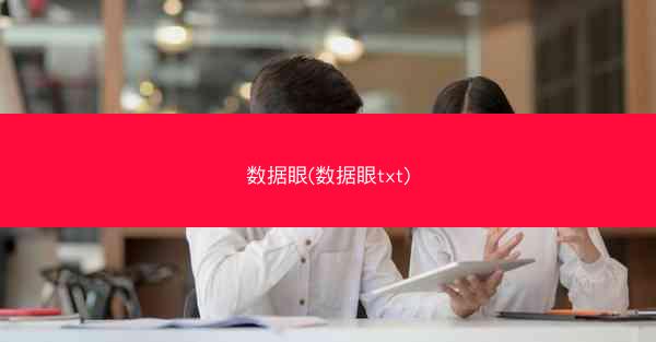 数据眼(数据眼txt)