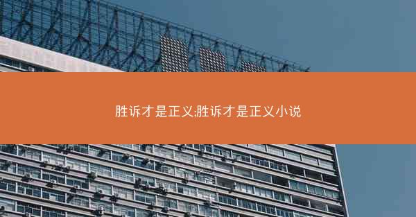 胜诉才是正义;胜诉才是正义小说