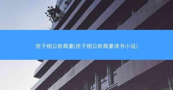 庶子相公软萌妻(庶子相公软萌妻读书小说)