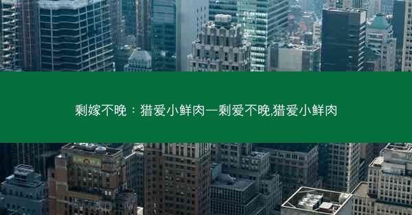 剩嫁不晚：猎爱小鲜肉—剩爱不晚,猎爱小鲜肉
