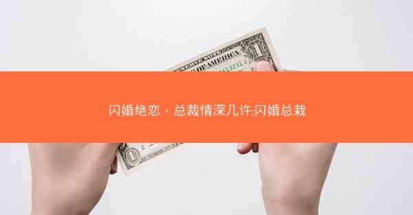 闪婚绝恋，总裁情深几许;闪婚总栽