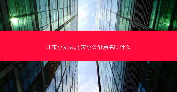 北宋小丈夫,北宋小公爷原名叫什么