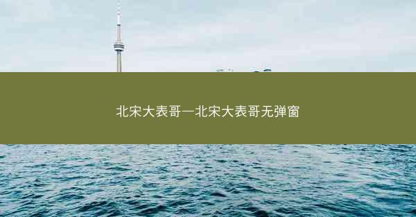 北宋大表哥—北宋大表哥无弹窗