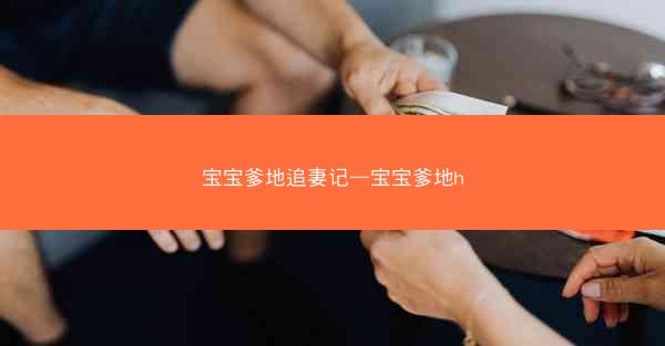 宝宝爹地追妻记—宝宝爹地h