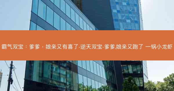 霸气双宝：爹爹，娘亲又有喜了-逆天双宝-爹爹,娘亲又跑了 一锅小龙虾