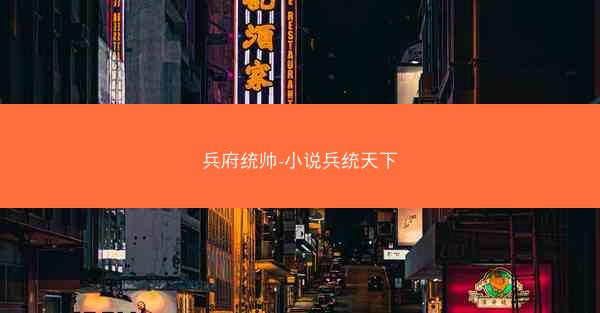 兵府统帅-小说兵统天下
