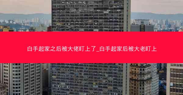 白手起家之后被大佬盯上了_白手起家后被大老盯上