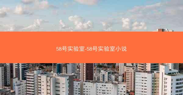 58号实验室-58号实验室小说