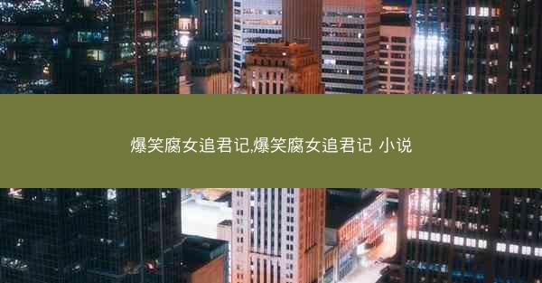 爆笑腐女追君记,爆笑腐女追君记 小说