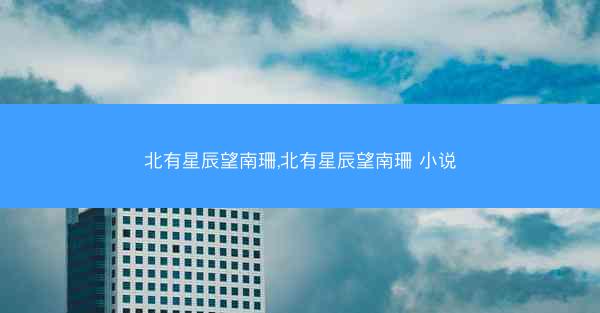 北有星辰望南珊,北有星辰望南珊 小说