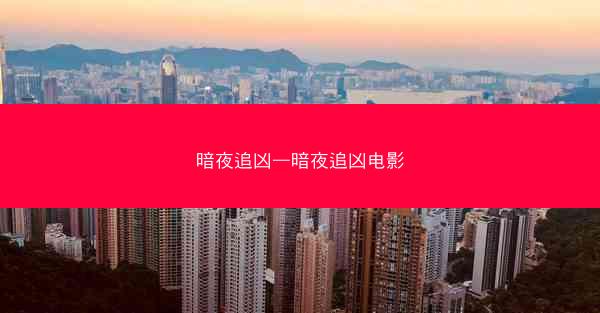 暗夜追凶—暗夜追凶电影