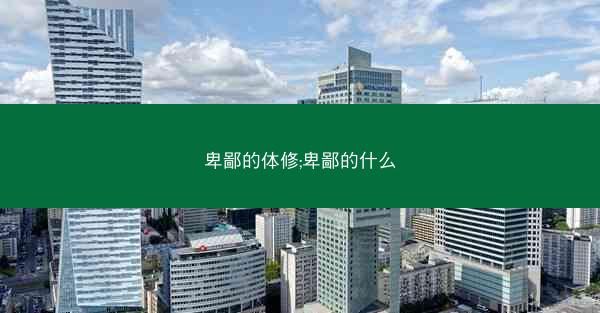卑鄙的体修;卑鄙的什么