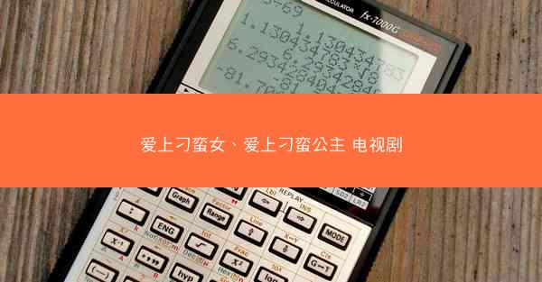 爱上刁蛮女、爱上刁蛮公主 电视剧