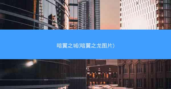 暗翼之城(暗翼之龙图片)