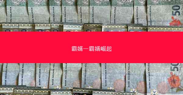 霸婿—霸婿崛起