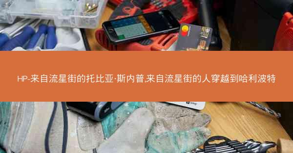 HP-来自流星街的托比亚·斯内普,来自流星街的人穿越到哈利波特