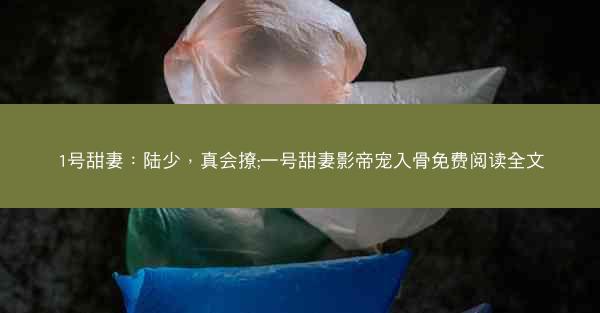 1号甜妻：陆少，真会撩;一号甜妻影帝宠入骨免费阅读全文