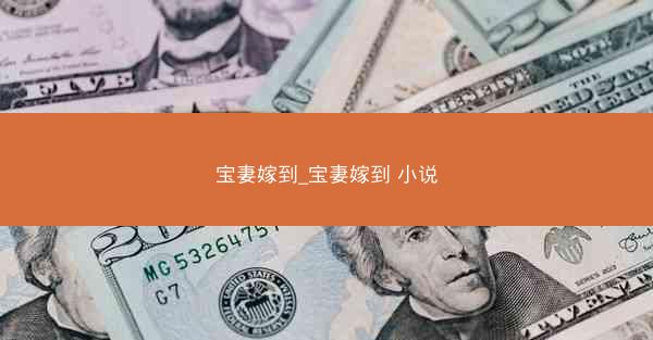 宝妻嫁到_宝妻嫁到 小说