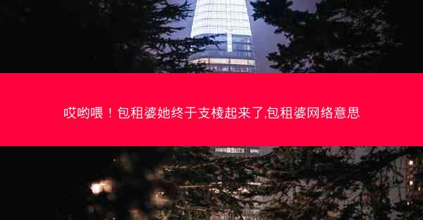 哎哟喂！包租婆她终于支棱起来了,包租婆网络意思