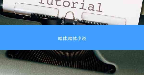 暗体,暗体小说
