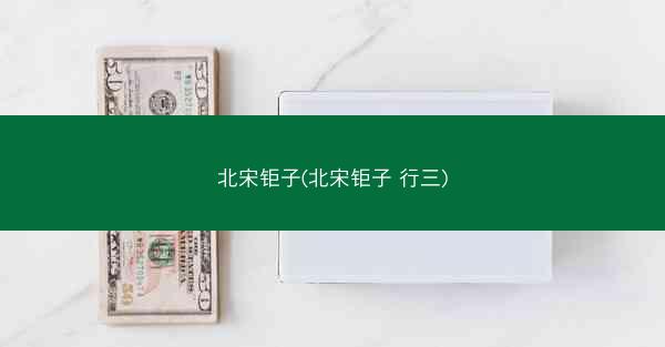 北宋钜子(北宋钜子 行三)