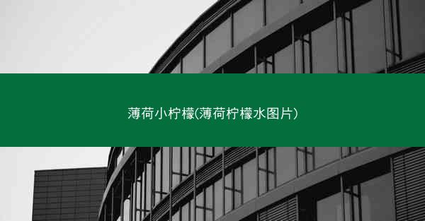 薄荷小柠檬(薄荷柠檬水图片)