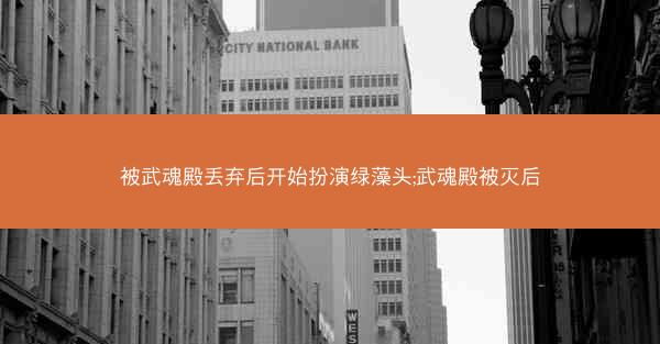 被武魂殿丢弃后开始扮演绿藻头;武魂殿被灭后